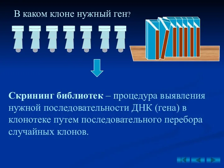 Скрининг библиотек – процедура выявления нужной последовательности ДНК (гена) в