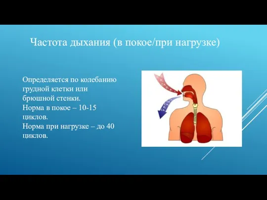 Частота дыхания (в покое/при нагрузке) Определяется по колебанию грудной клетки