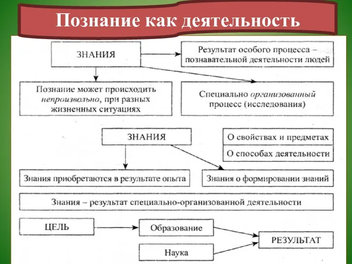 Познание как деятельность