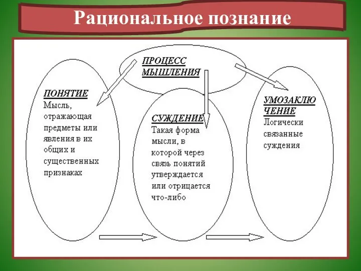 Рациональное познание