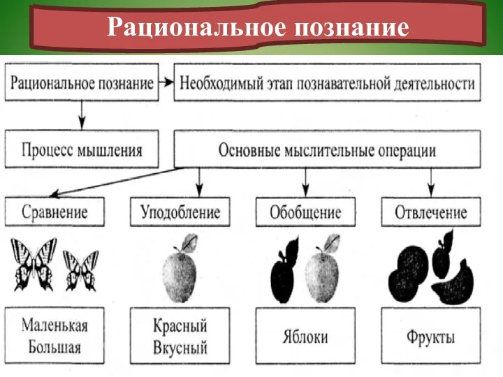 Рациональное познание