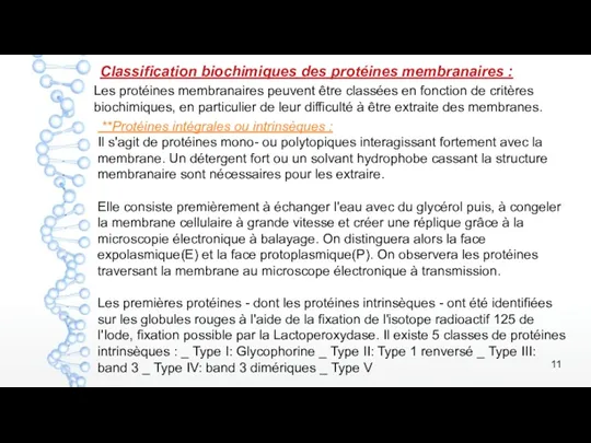 Classification biochimiques des protéines membranaires : Les protéines membranaires peuvent