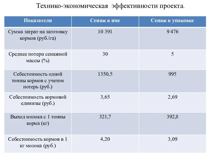 Технико-экономическая эффективности проекта.