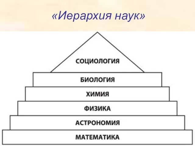 «Иерархия наук»