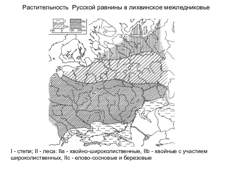 Растительность Русской равнины в лихвинское межледниковье I - степи; II - леса: IIа