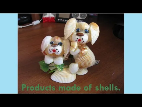 Products made of shells.