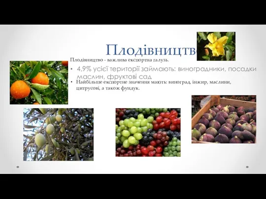 Плодівництво 4,9% усієї території займають: виноградники, посадки маслин, фруктові сад