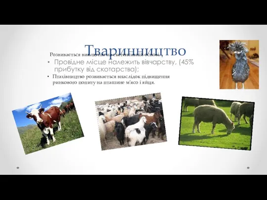 Тваринництво Провідне місце належить вівчарству, (45% прибутку від скотарства); Розвивається