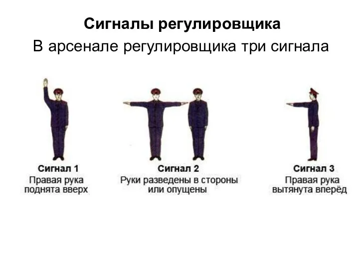 Сигналы регулировщика В арсенале регулировщика три сигнала