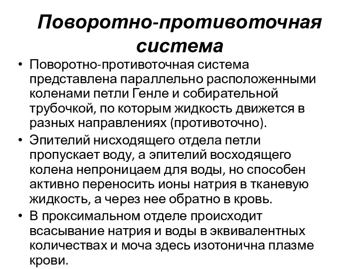 Поворотно-противоточная система Поворотно-противоточная система представлена параллельно расположенными коленами петли Генле и собирательной трубочкой,