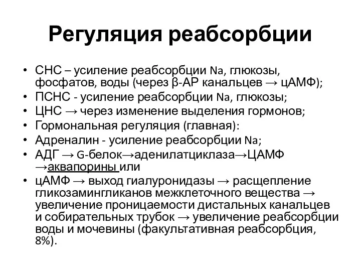 Регуляция реабсорбции СНС – усиление реабсорбции Na, глюкозы, фосфатов, воды