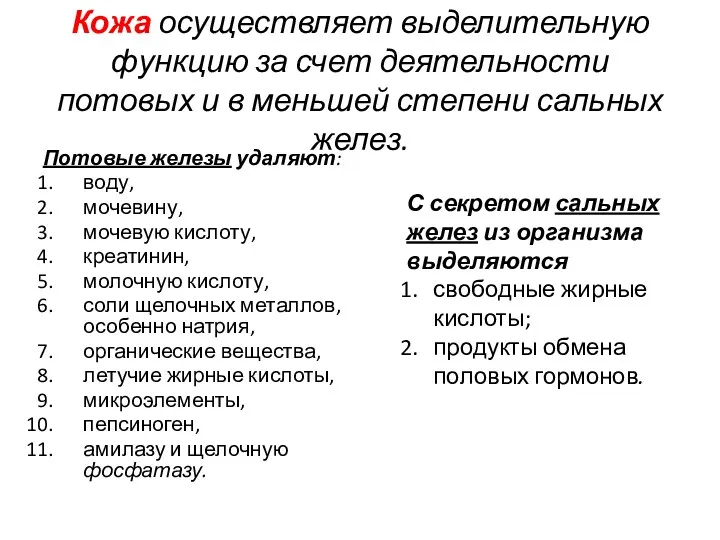 Кожа осуществляет выделительную функцию за счет деятельности потовых и в меньшей степени сальных