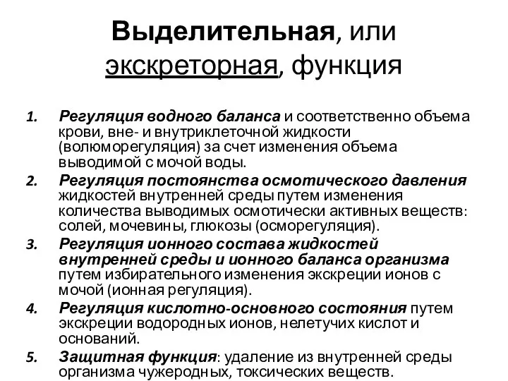 Выделительная, или экскреторная, функция Регуляция водного баланса и соответственно объема крови, вне- и