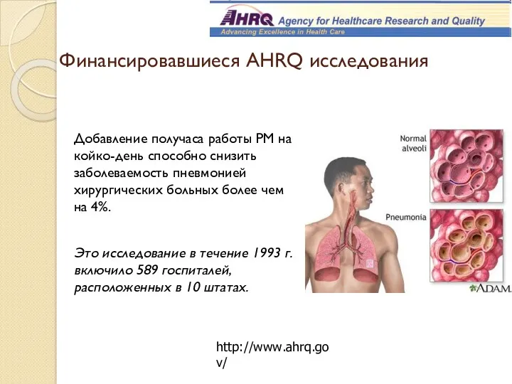 Финансировавшиеся AHRQ исследования Добавление получаса работы РМ на койко-день способно