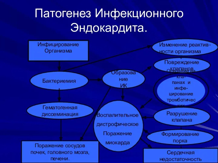 Патогенез Инфекционного Эндокардита. Инфицирование Организма Бактериемия Гематогенная диссеминация Поражение сосудов