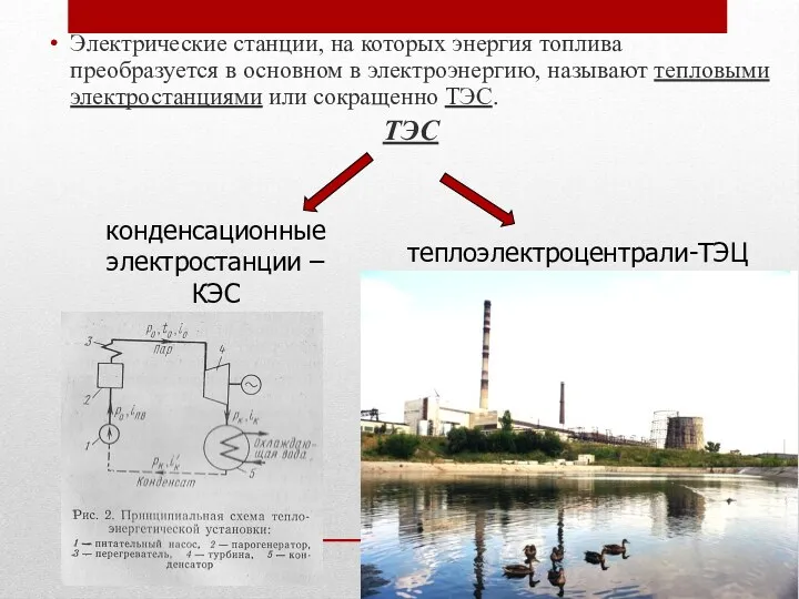 Электрические станции, на которых энергия топлива преобразуется в основном в