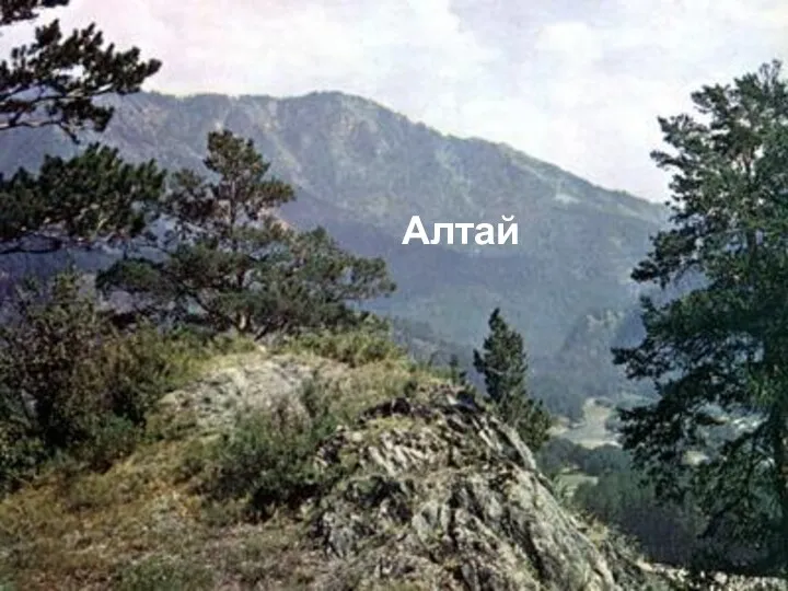 Алтай