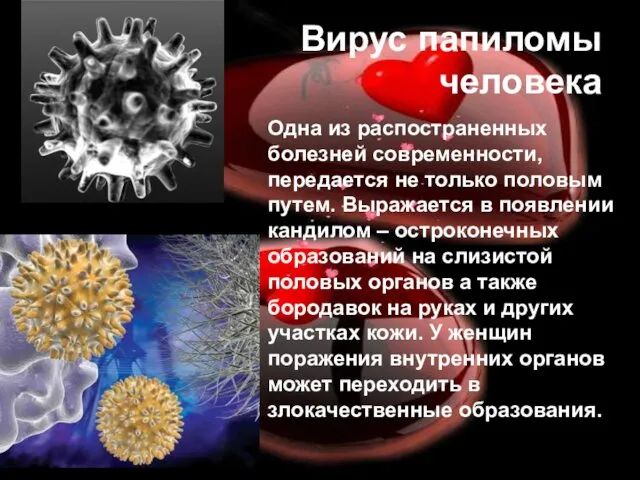 Вирус папиломы человека Одна из распостраненных болезней современности, передается не