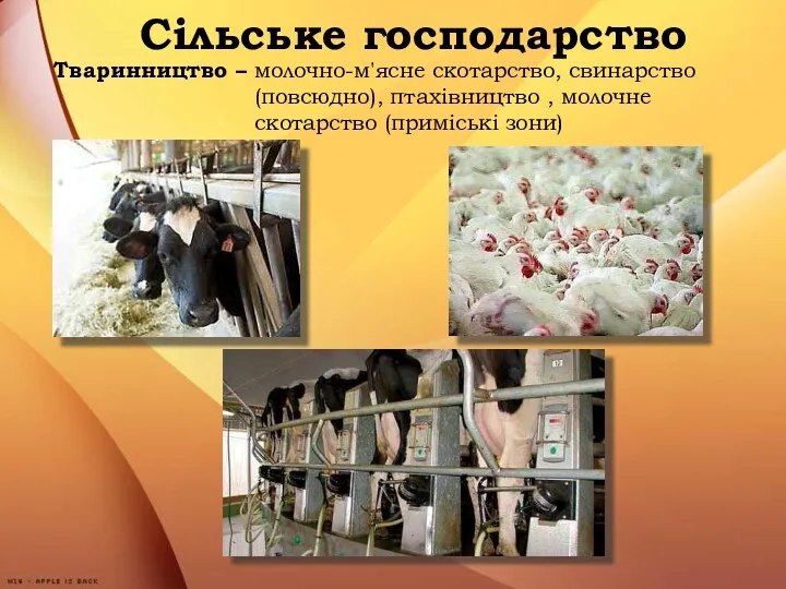 Сільське господарство Тваринництво – молочно-м'ясне скотарство, свинарство (повсюдно), птахівництво , молочне скотарство (приміські зони)
