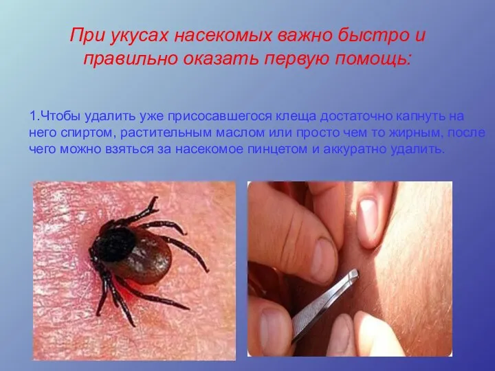 При укусах насекомых важно быстро и правильно оказать первую помощь: