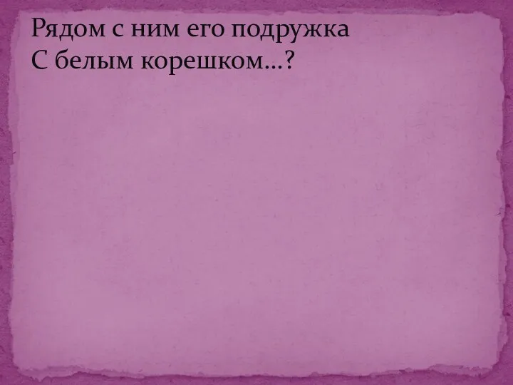 Рядом с ним его подружка С белым корешком…?