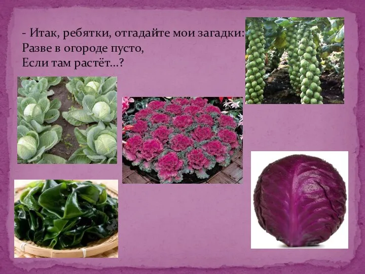 - Итак, ребятки, отгадайте мои загадки: Разве в огороде пусто, Если там растёт...?