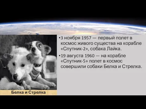 3 ноября 1957 — первый полет в космос живого существа