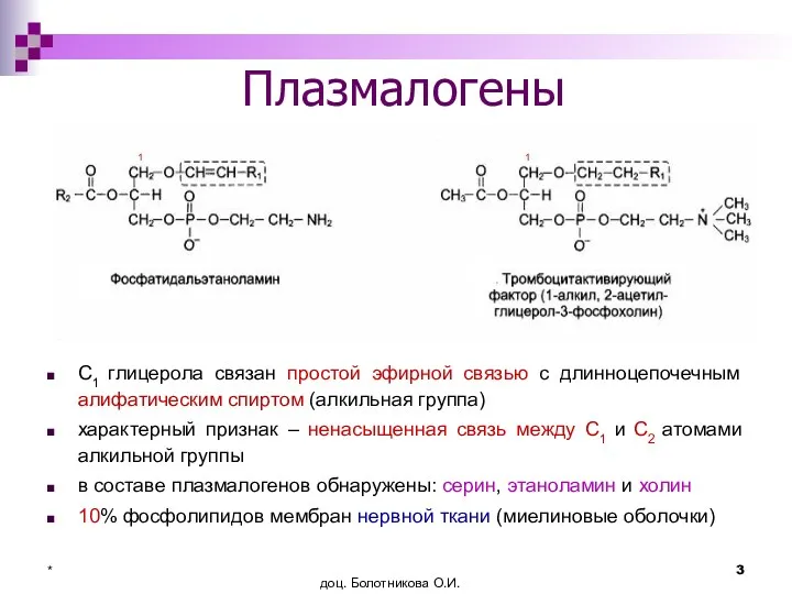 доц. Болотникова О.И. * Плазмалогены С1 глицерола связан простой эфирной