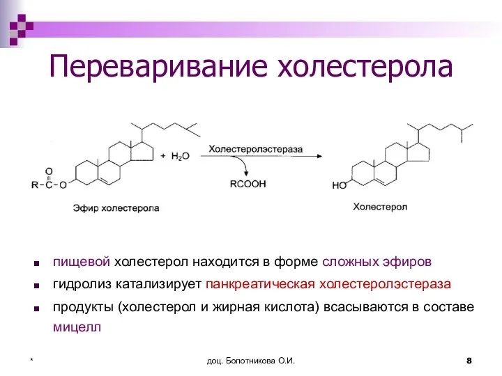 доц. Болотникова О.И. * Переваривание холестерола пищевой холестерол находится в