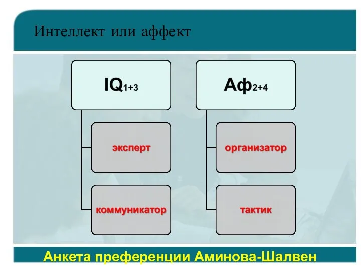 Интеллект или аффект Анкета преференции Аминова-Шалвен