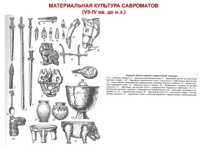 МАТЕРИАЛЬНАЯ КУЛЬТУРА САВРОМАТОВ (VII-IV вв. до н.э.)