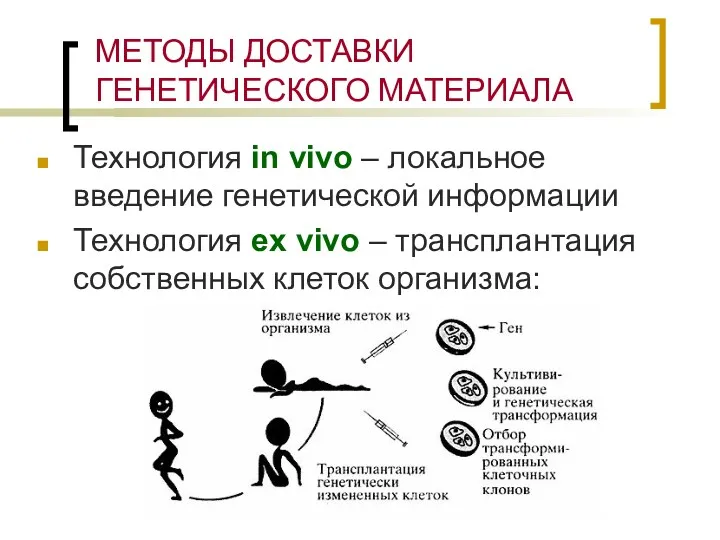 Технология in vivo – локальное введение генетической информации Технология ex