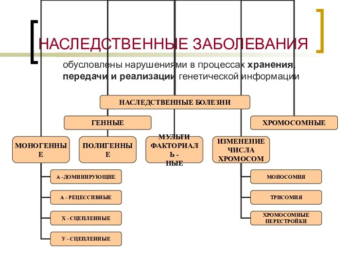 НАСЛЕДСТВЕННЫЕ ЗАБОЛЕВАНИЯ обусловлены нарушениями в процессах хранения, передачи и реализации генетической информации