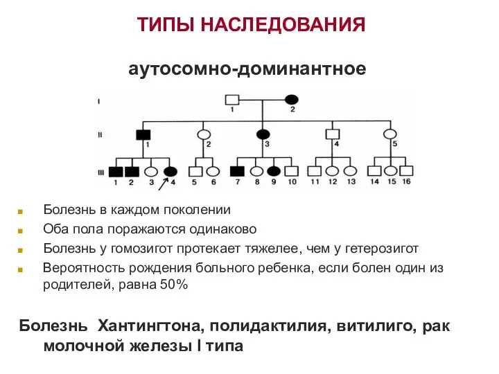 ТИПЫ НАСЛЕДОВАНИЯ Болезнь в каждом поколении Оба пола поражаются одинаково