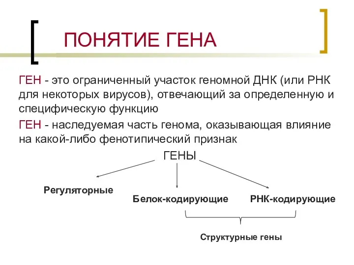 ПОНЯТИЕ ГЕНА ГЕН - это ограниченный участок геномной ДНК (или РНК для некоторых