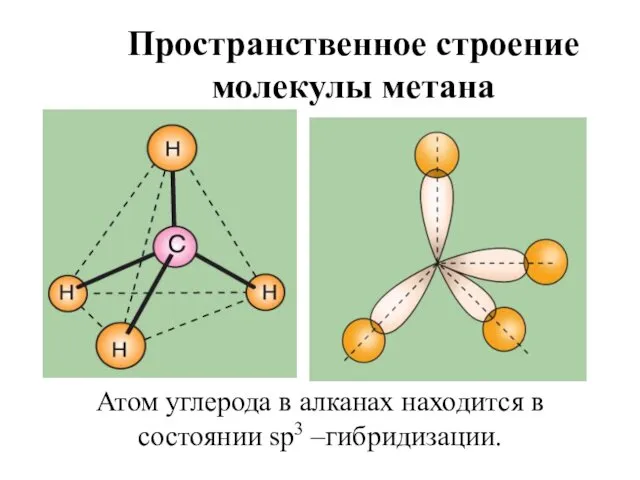 Пространственное строение молекулы метана Атом углерода в алканах находится в состоянии sp3 –гибридизации.