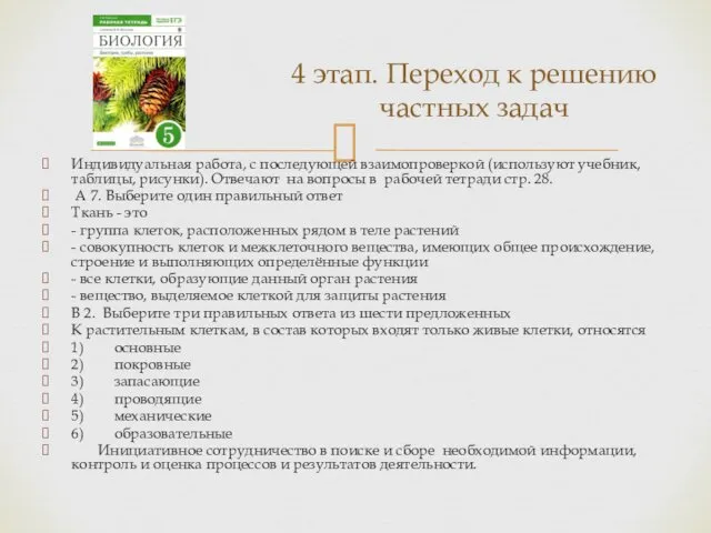 Индивидуальная работа, с последующей взаимопроверкой (используют учебник, таблицы, рисунки). Отвечают