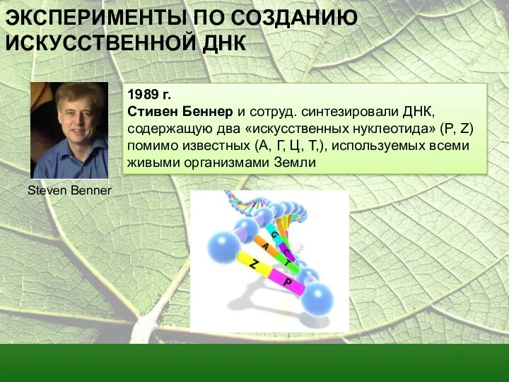 ЭКСПЕРИМЕНТЫ ПО СОЗДАНИЮ ИСКУССТВЕННОЙ ДНК 1989 г. Стивен Беннер и