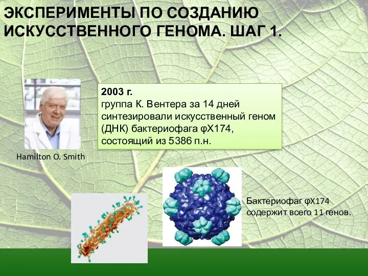 ЭКСПЕРИМЕНТЫ ПО СОЗДАНИЮ ИСКУССТВЕННОГО ГЕНОМА. ШАГ 1. 2003 г. группа