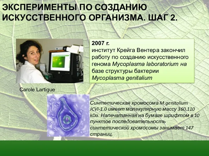 ЭКСПЕРИМЕНТЫ ПО СОЗДАНИЮ ИСКУССТВЕННОГО ОРГАНИЗМА. ШАГ 2. 2007 г. институт