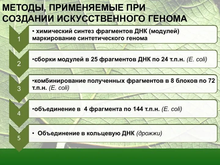 МЕТОДЫ, ПРИМЕНЯЕМЫЕ ПРИ СОЗДАНИИ ИСКУССТВЕННОГО ГЕНОМА