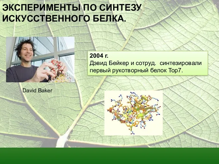 ЭКСПЕРИМЕНТЫ ПО СИНТЕЗУ ИСКУССТВЕННОГО БЕЛКА. 2004 г. Дэвид Бейкер и