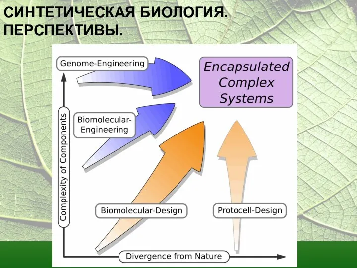 СИНТЕТИЧЕСКАЯ БИОЛОГИЯ. ПЕРСПЕКТИВЫ.