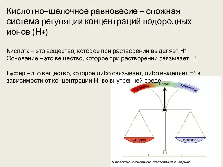 Кислотно–щелочное равновесие – сложная система регуляции концентраций водородных ионов (Н+)