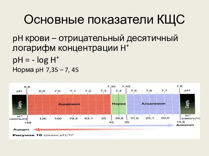 Основные показатели КЩС pH крови – отрицательный десятичный логарифм концентрации