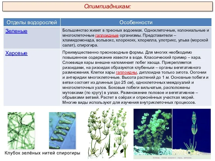 Олимпиадникам: