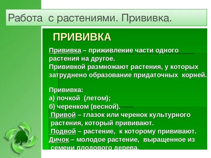 Работа с растениями. Прививка.