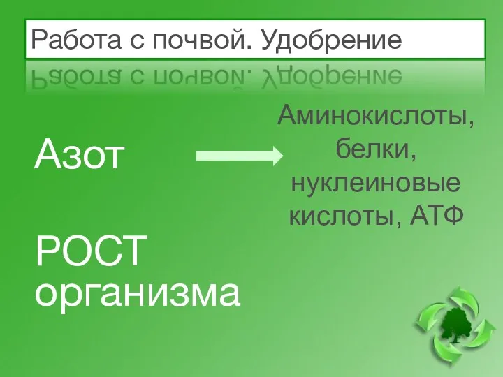 Работа с почвой. Удобрение Азот РОСТ организма Аминокислоты, белки, нуклеиновые кислоты, АТФ