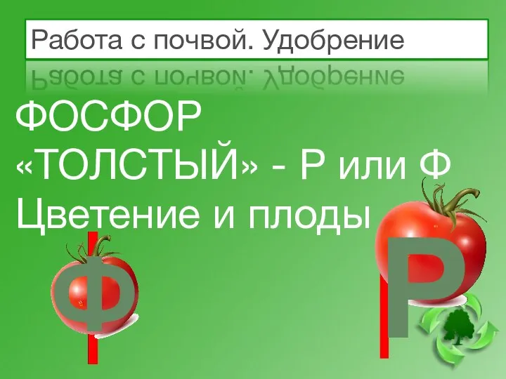 Работа с почвой. Удобрение ФОСФОР «ТОЛСТЫЙ» - Р или Ф Цветение и плоды Ф Р