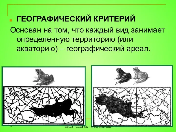 ГЕОГРАФИЧЕСКИЙ КРИТЕРИЙ Основан на том, что каждый вид занимает определенную